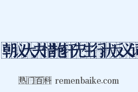 朝议大夫惜抱轩先生行状反义词是什么意思的图片